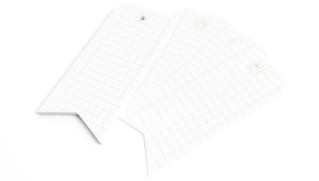 Jumbo Tag Booklet - Ledger , 2 of 3