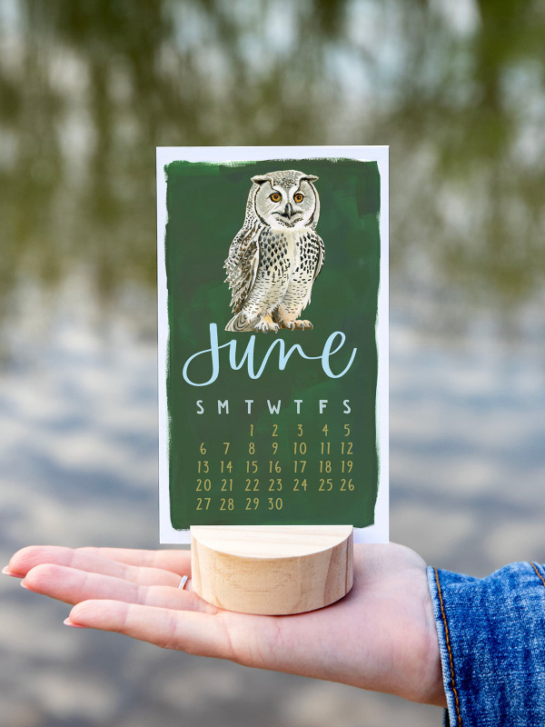 National Park Animals 2027 Mini Desk Calendar + Wooden Block, 7 of 10