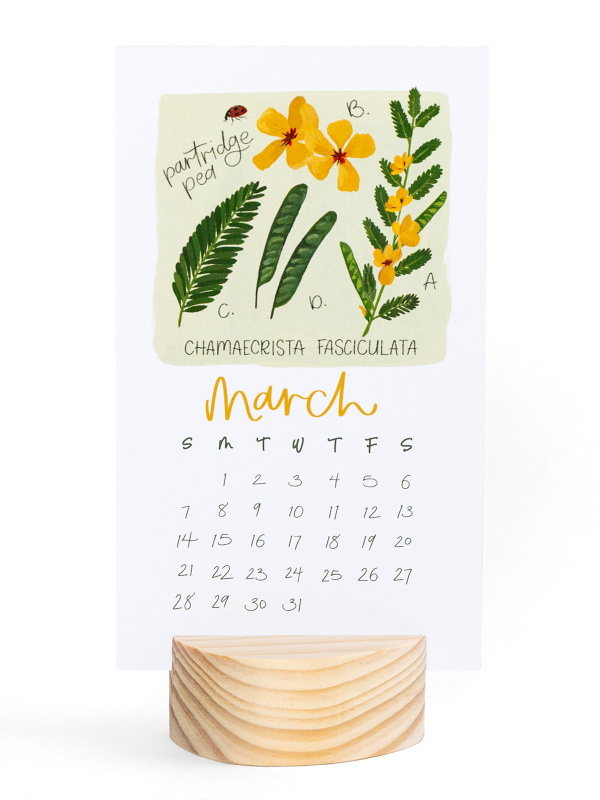 Wildflower Botanicals 2027 Mini Desk Calendar + Wooden Block, 2 of 7