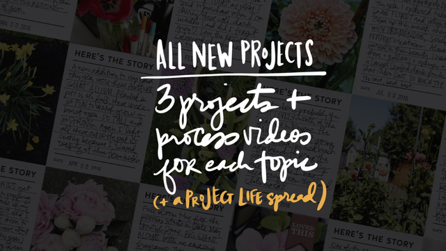 Hello Story 1 & 2 Class Bundle, 5 of 8