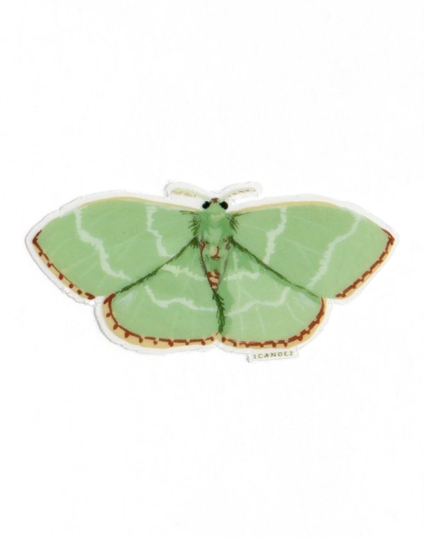 Red Fringed Emerald Moth Clear Decal Sticker, 4 of 4