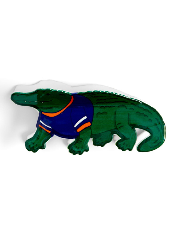 Gainesville Football Game Day Claw Hair Clip, 2 of 6
