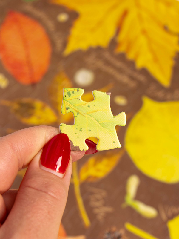 Fallen Leaves - 500 Piece Autumn Jigsaw Puzzle, 3 of 6