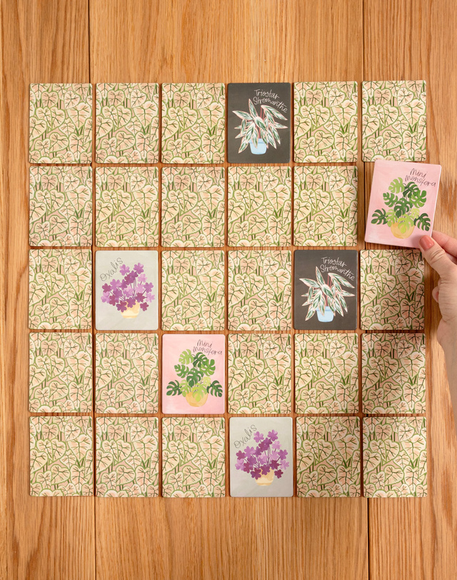 Houseplants Memory Game, 4 of 4