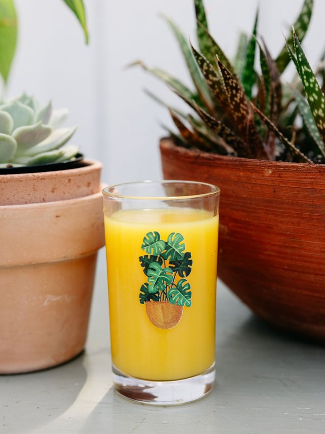 Monstera Plant 6oz Mini Juice Glass, 1 of 3