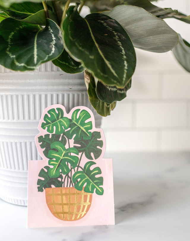 Potted Plants Pop-Up Greeting Card Box Set, 3 of 7