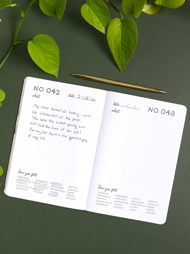 One Hundred Joys Journal - Large, 3 of 4