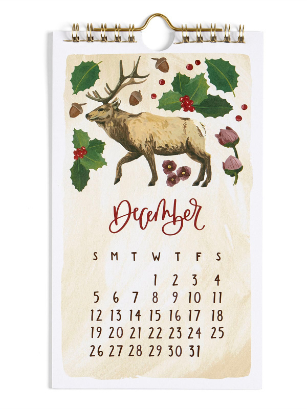2027 Flora & Fauna Petite Hanging Wall Calendar, 4 of 6