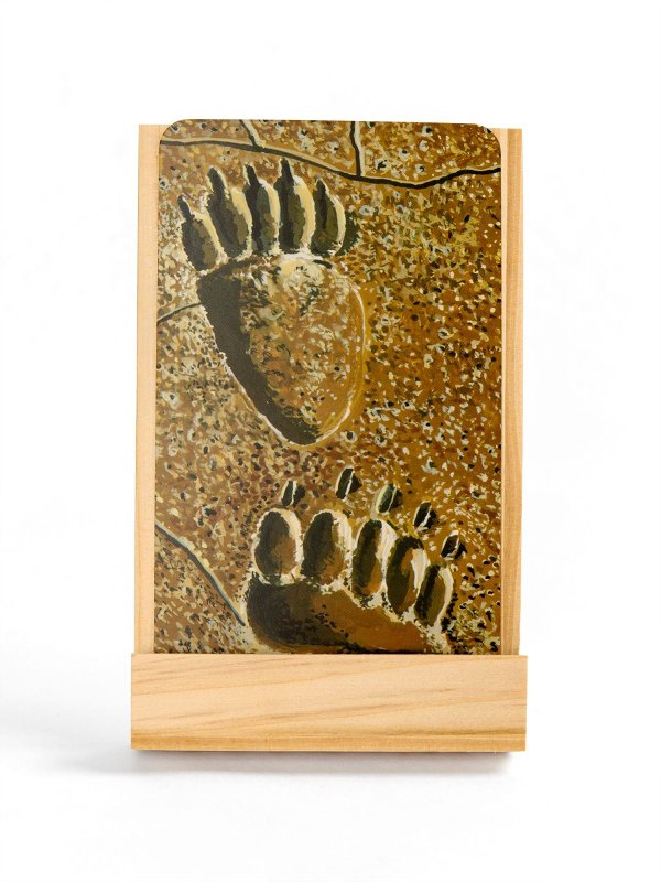 National Parks Inspiration Card Deck + Desktop Display Stand, 7 of 8
