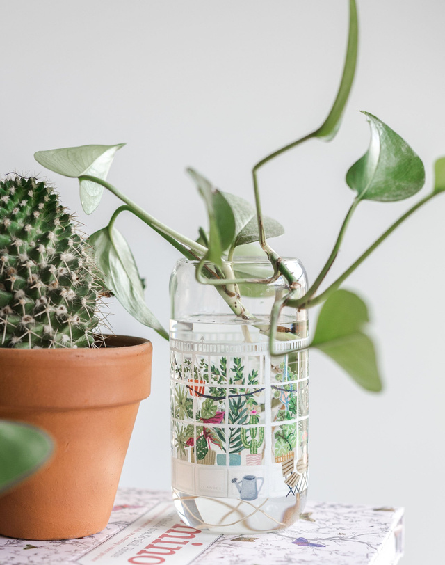 Greenhouse Glass Can, 2 of 6