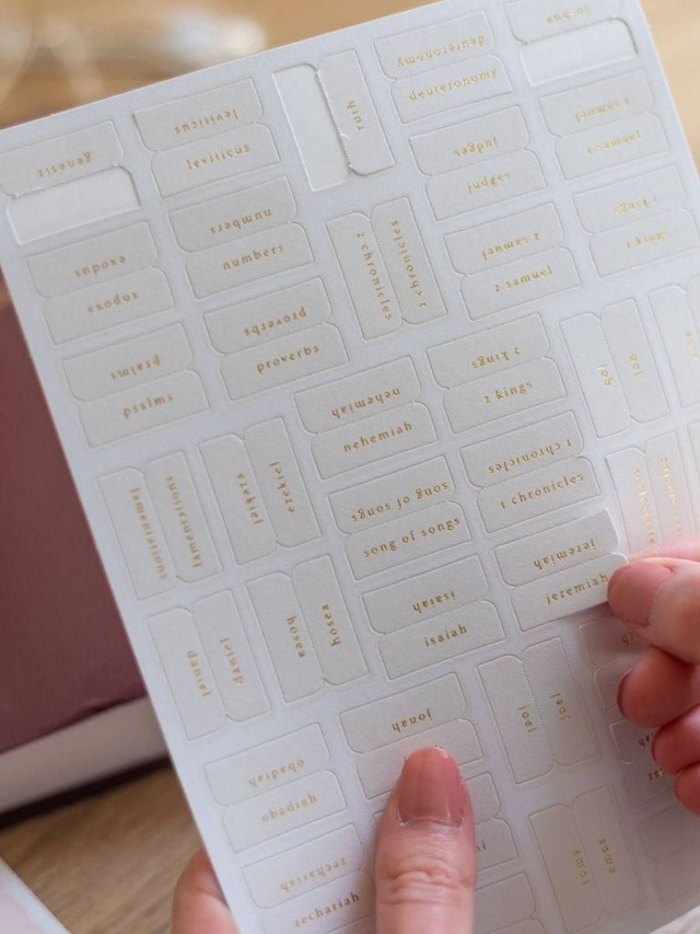 Pink & Cream Bible Tabs, 5 of 7
