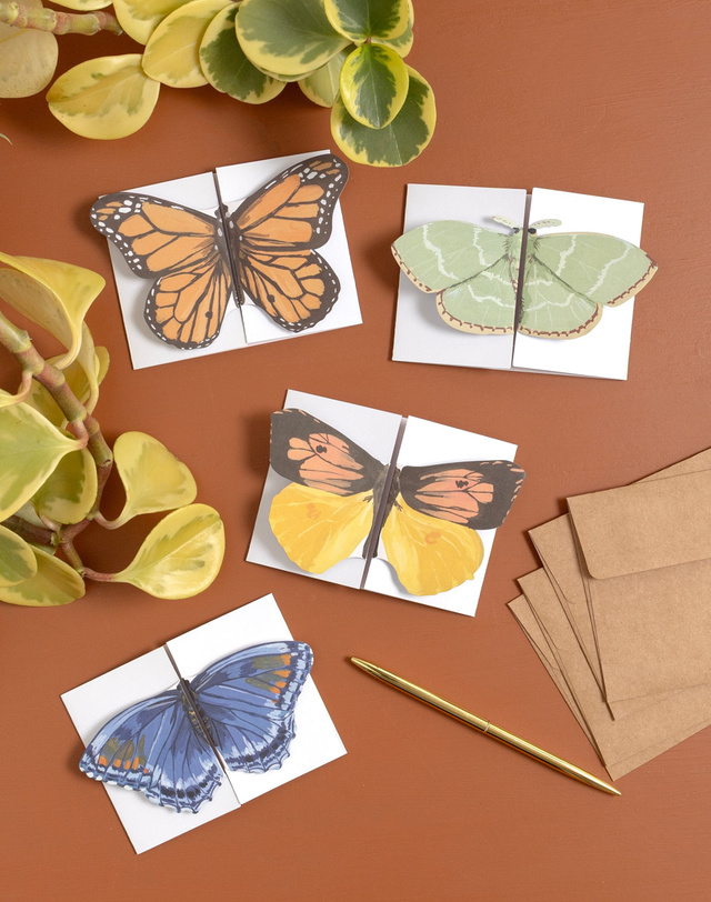 Flutter Friends Specialty Greeting Card Set, 2 of 3