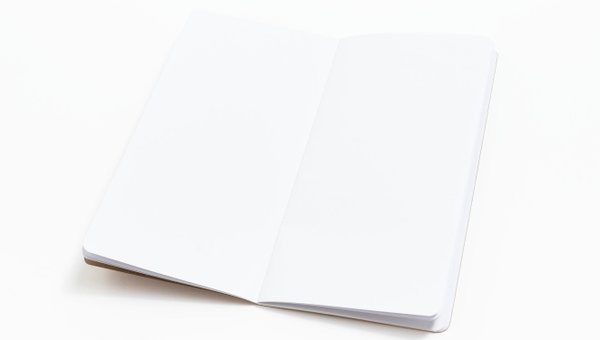 Kraft Traveler's Notebook, 2 of 2