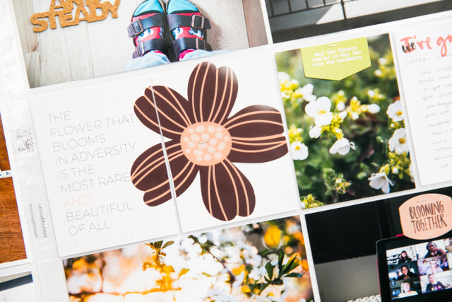 Bloom, 4 of 5
