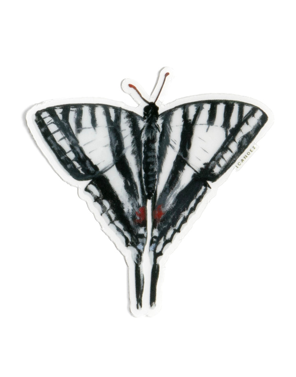 Zebra Swallowtail Butterfly Clear Decal Sticker, 1 of 4