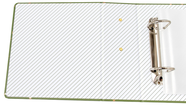 Green Stars 4×6 Album, 3 of 4