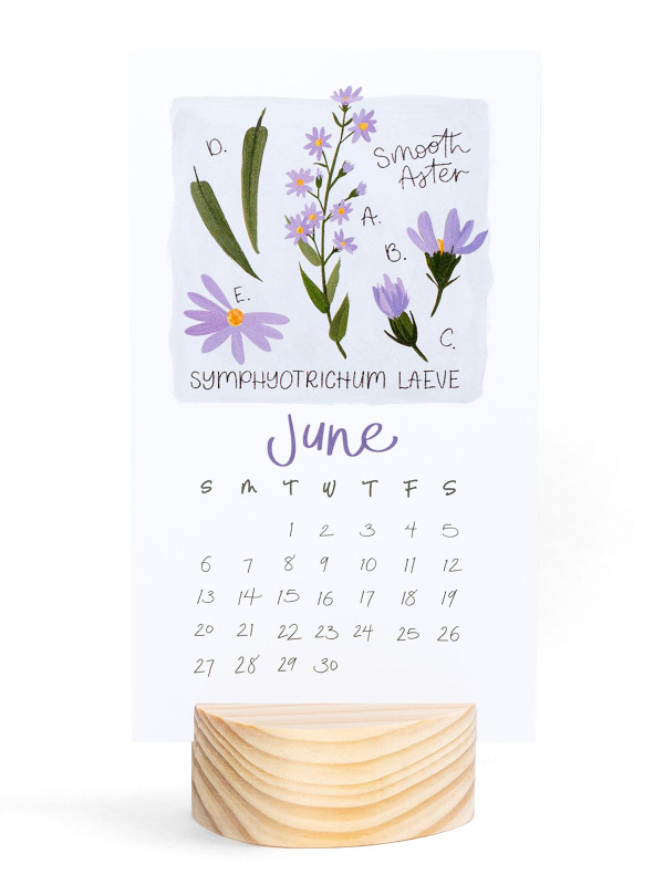 Wildflower Botanicals 2027 Mini Desk Calendar + Wooden Block, 4 of 7