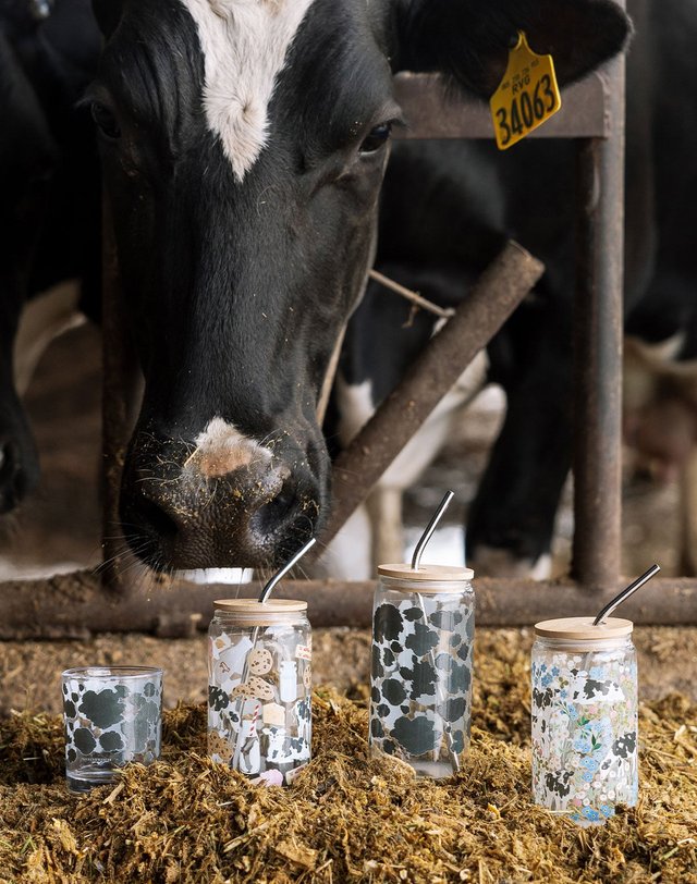 Cow Spots 16oz Glass Can, 1 of 4