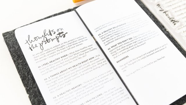 Pieces of Health Notebook, 6 of 7
