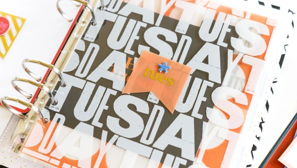 Weekly Plastic Banners, 4 of 4