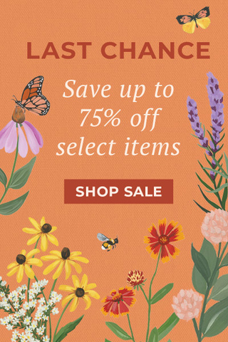 Shop Clearance